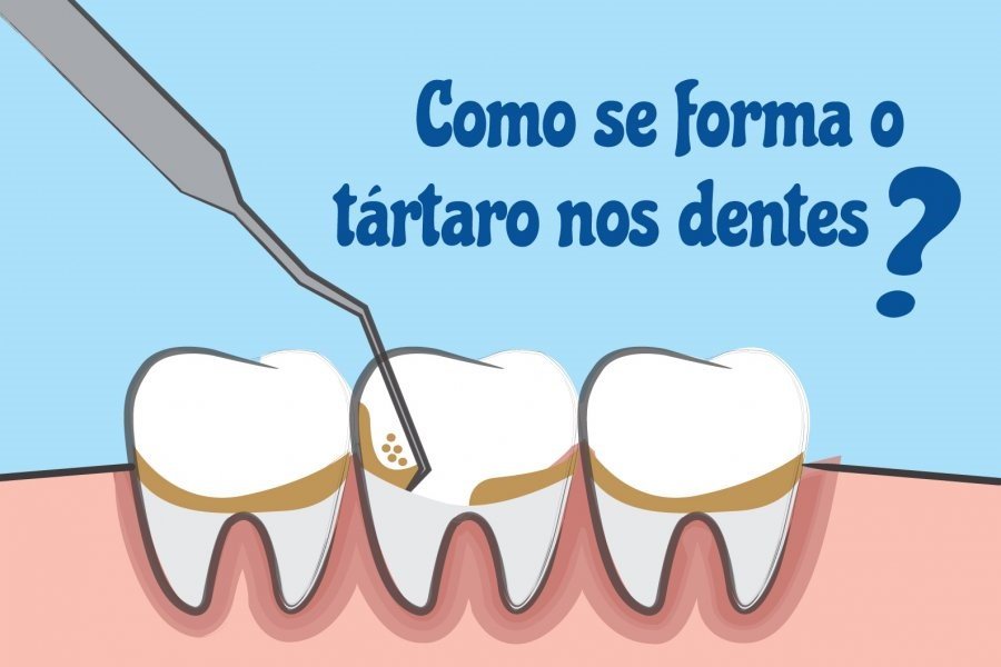 .:: conteudo_37531_1.jpg ::.